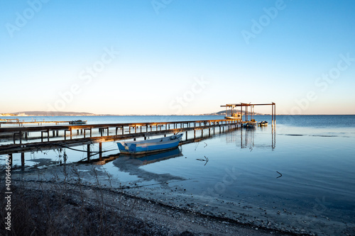 oyster and mussels farming