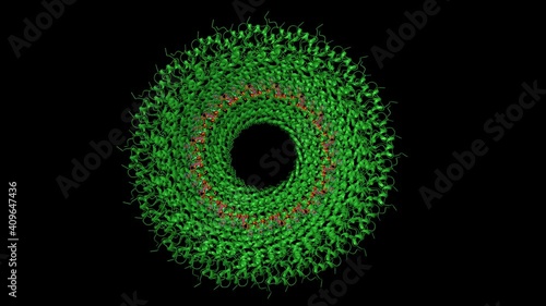 High-resolution structure of tobacco mosaic virus, animated 3D cartoon and Gaussian surface model, black background