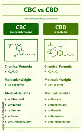 CBC vs CBD, Cannabichromene vs Cannabidiol vertical infographic illustration about cannabis as herbal alternative medicine and chemical therapy, healthcare and medical science vector.