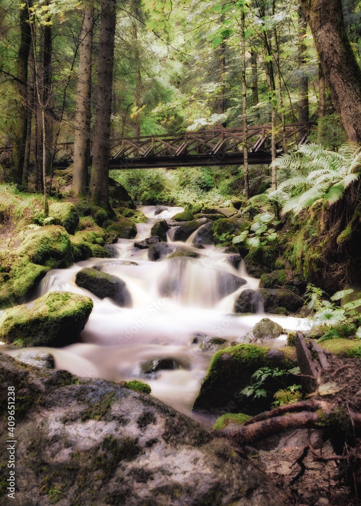 waterfall in the woods - black forest