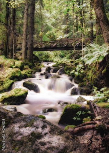 Fototapeta Naklejka Na Ścianę i Meble -  waterfall in the woods - black forest