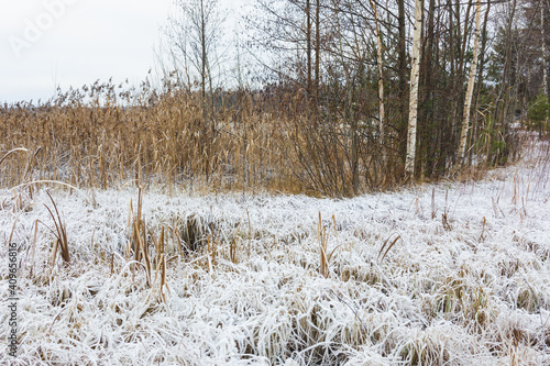 Wallpaper Mural Frost hay landscape in winter nature Torontodigital.ca