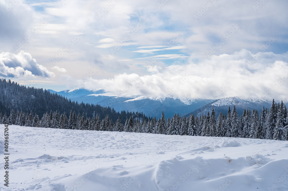 Winter landscape with snow in Ciucas mountains near Brasov, Romania