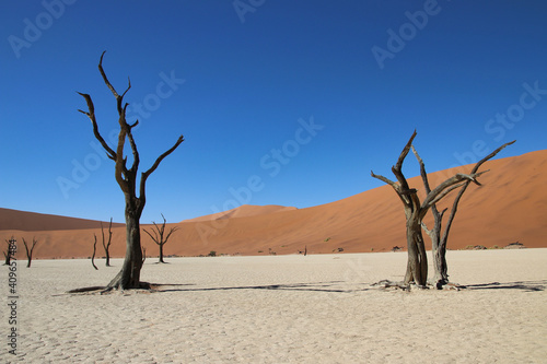 Deadvlei - Sossusvlei, Namibia, Africa