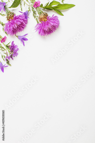 purple summer flowers on white background