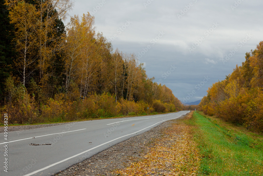 Fototapeta premium road in autumn forest