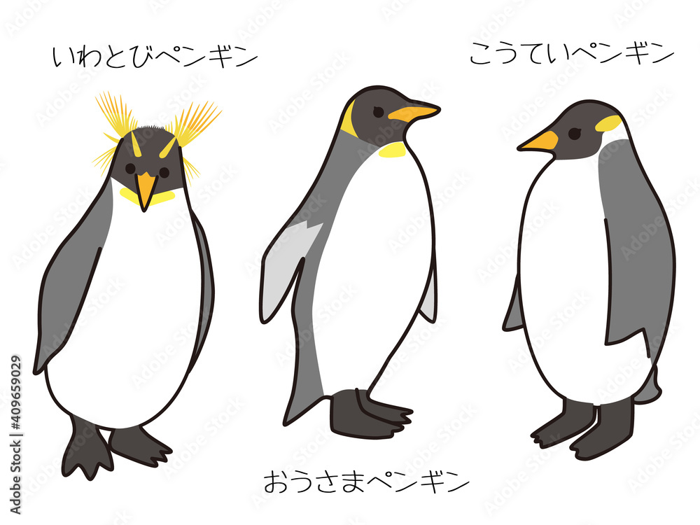 Obraz premium 皇帝ペンギン・おうさまペンギン・いわとびペンギン