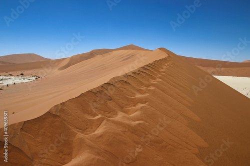 Deadvlei - Sossusvlei  Namibia  Africa