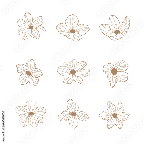 Fototapeta Naklejka Na Ścianę i Meble -  Set of hand drawn flowers. Vector illustration