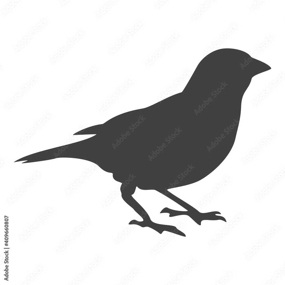 Sparrow silhouette, icon. Vector illustration on a white background. Sparrow silhouette, icon. Vector illustration on a white background.