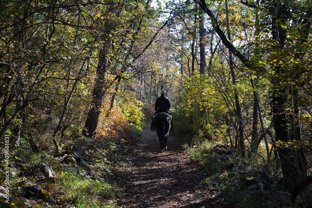 A horse rider in the autumn landscape near Malchina in Trieste Province, Friuli-Venezia Giulia, north east Italy
