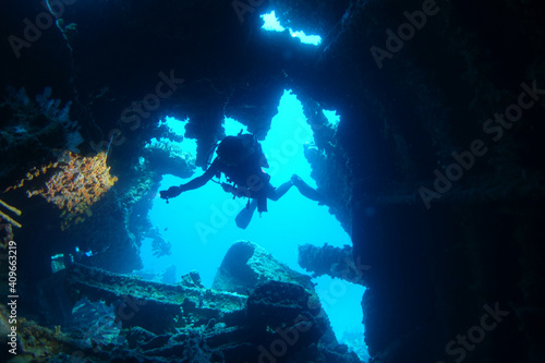 Diving in the Caribbean at the RMS Rhone  beautiful environment with beautiful animals  the ship sank 1867 at Salt Island and 123 people lost there lives  