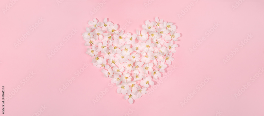 Festive floral banner with shape heart laid out of white apple tree flowers on gentle pink backdrop with copy space. Festive floral banner with shape heart laid out of white apple tree flowers on gentle pink backdrop with copy space.