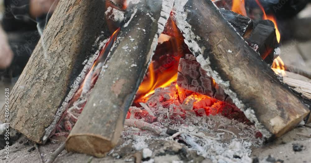 Bonfire flame closeup on a picnic on nature. Burning coals of pine firewood. Camping. Cooking food on an open fire, meat frying concept. Weekend with friends in the woods with camping. Bonfire flame closeup on a picnic on nature. Burning coals of pine firewood. Camping. Cooking food on an open fire, meat frying concept. Weekend with friends in the woods with camping.