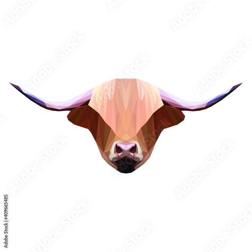 Geometrical illustration of a highland cow head isolated