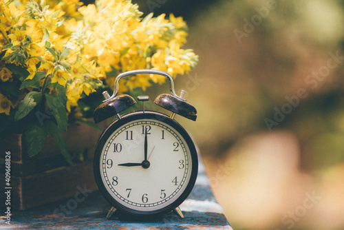 Retro 9 o'clock. Flowers in old wooden box. Day Light Garden Background with space for text. photo