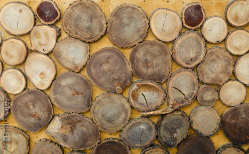 Sections of wood with annual rings on the wall.
