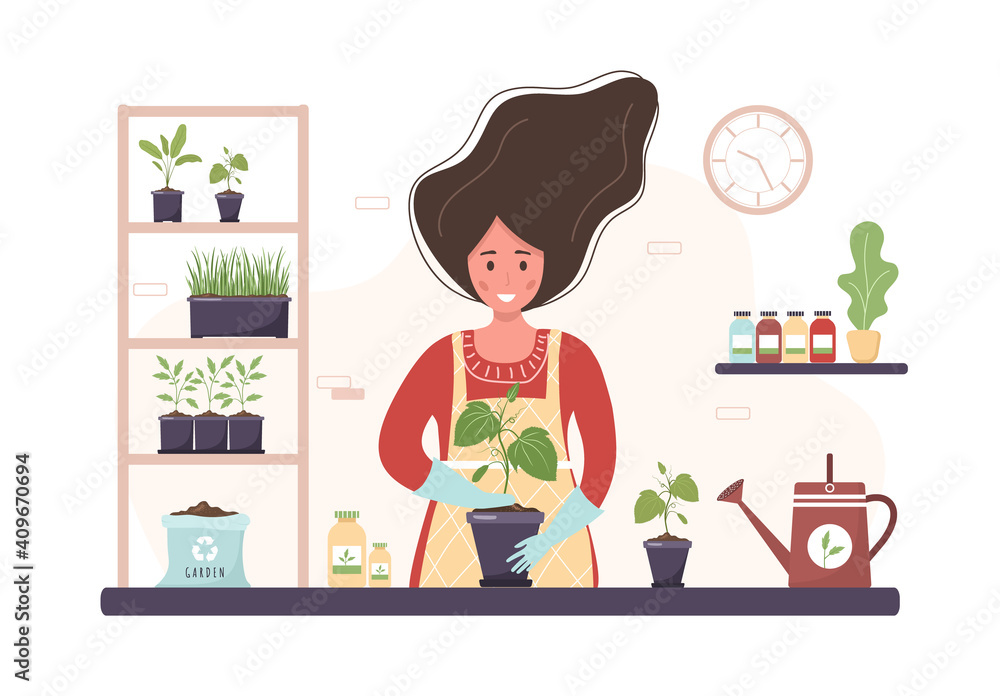 Planting at home. Cartoon woman replanting seedlings in orangery. Gardening hobby. Vector illustration in flat style. Domestic plants nursery and care concept.