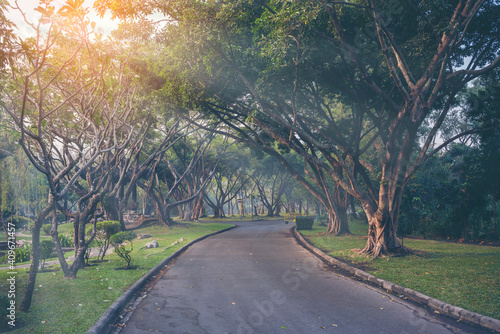 Beautiful Suan Luang Rama IX  is a public park in Bangkok's Prawet Distric in the morning  , Thailand photo