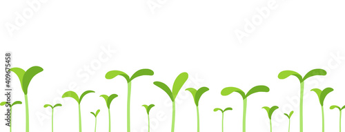 Agricultural seedlings field. Growing young plant shoots. Crops began to sprout. Spring season. Vector. Place for your text. Copy space. Horizontal banner.