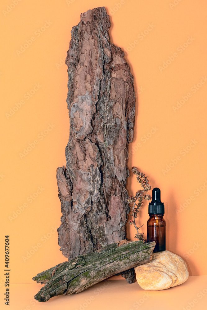 Dropper glass bottle of essential oil, tree bark, stone, dried plant on peach background.