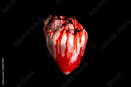 Bleeding heart isolated on black background.