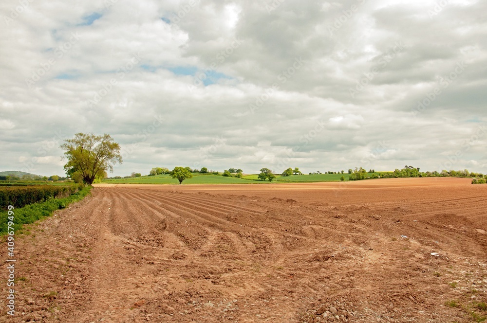 landscape with field and sky landscape with field and sky