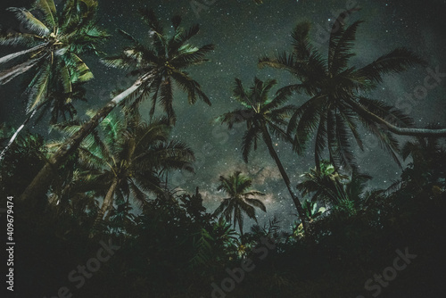 Green coconut tree under blue sky during night time