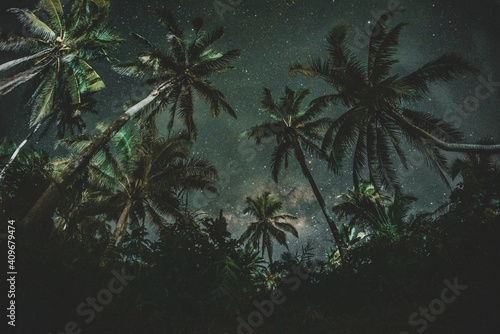 Green coconut tree under blue sky during night time photo