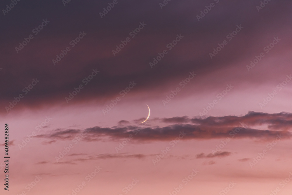 New moon moon among pink clouds at sunset.