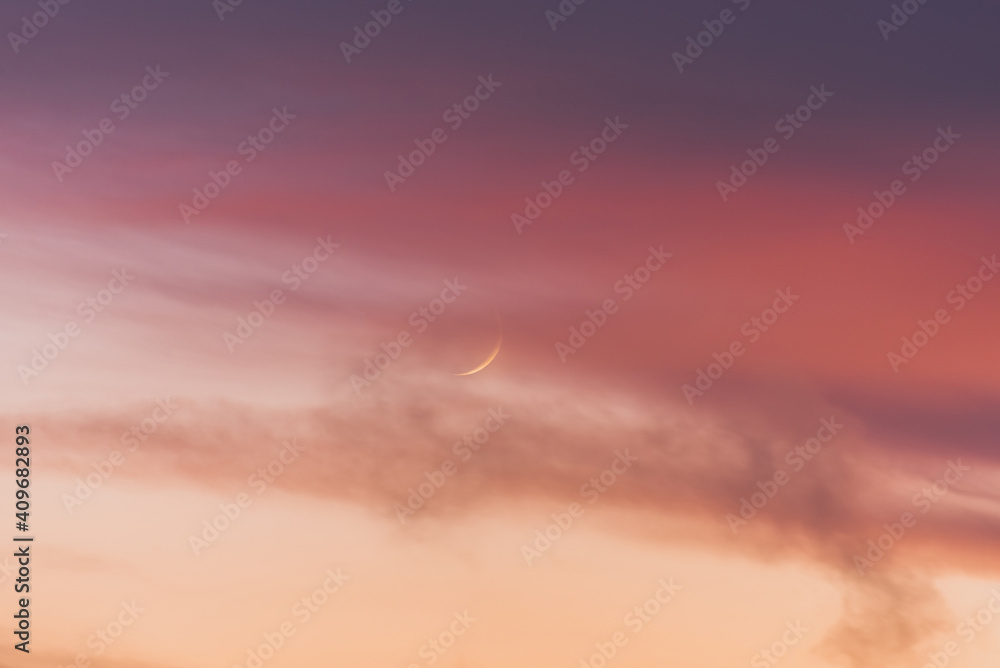 New moon moon among pink clouds at sunset.