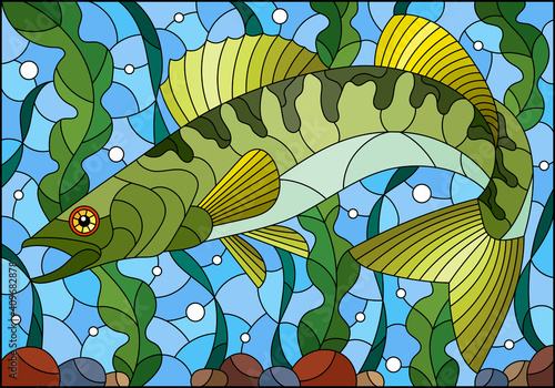 Illustration in stained glass style with pike perch fish on the background of algae, air bubbles and water
