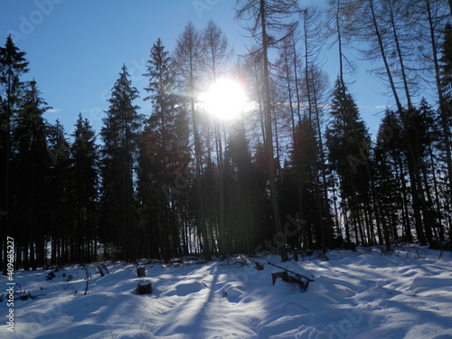 Ein sonniger Tag im Winter bei Sophienhof im Südharz photo