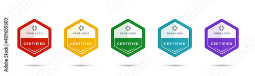 Set of company training badge certificates to determine based on criteria. Vector illustration certified logo design.