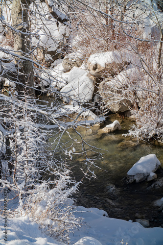 mountain stream in the winter forest