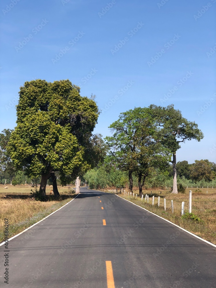 Naklejka premium road in the countryside