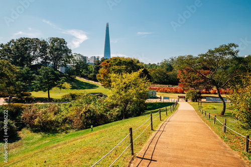 Photography Olympic park trail in Seoul, Korea