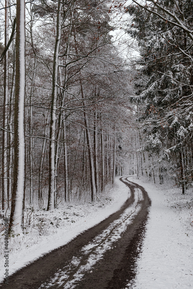 Fototapeta premium German Landscape in the winter with snow and forest.