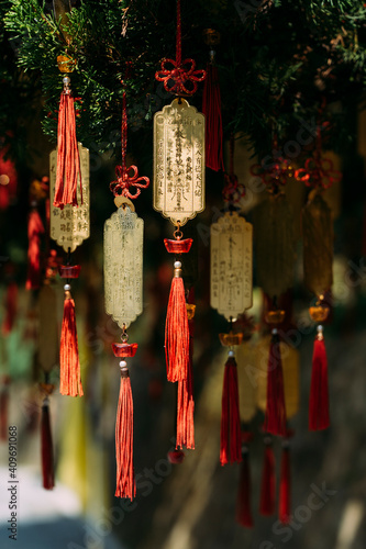Buddhist wish ribbons and gold hanging from pine tree in Taipei, Taiwan.