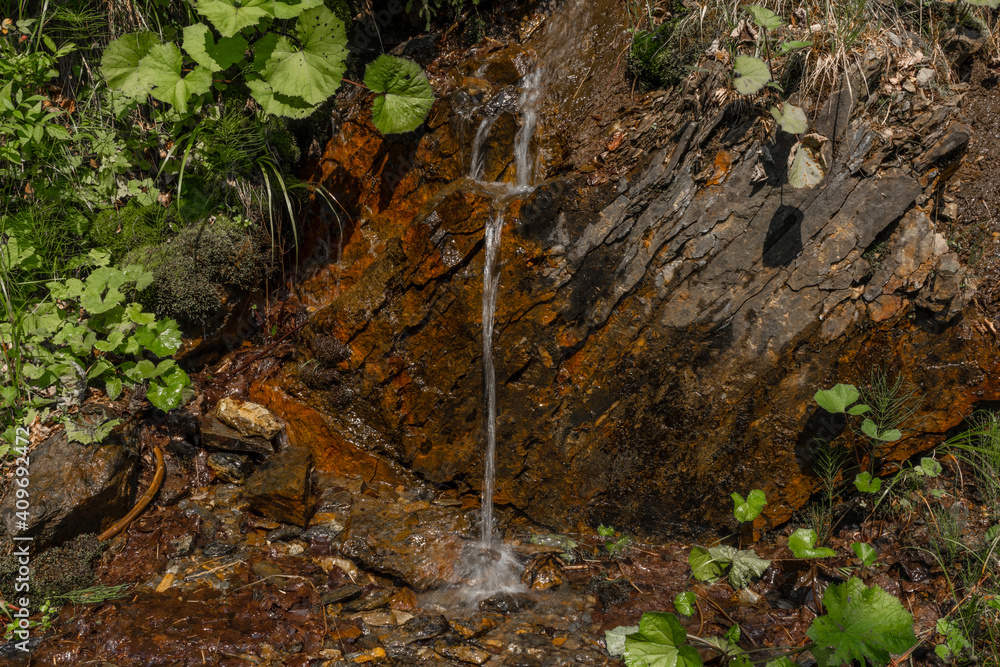 Obraz premium Small color spring near small path in Jeseniky mountains