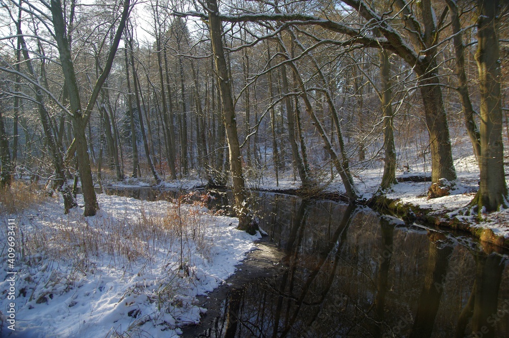 Obraz premium Hellbach mit Schnee