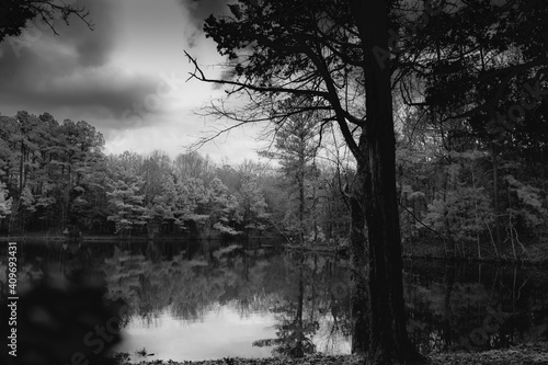 Cedar Pond in Land Between the Lakes, TN photo