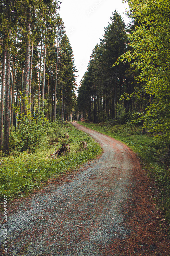 Fototapeta premium Hiking trail in German forest. Scenic footpath in Rothaar Mountains in Northrhine-Westphalia state