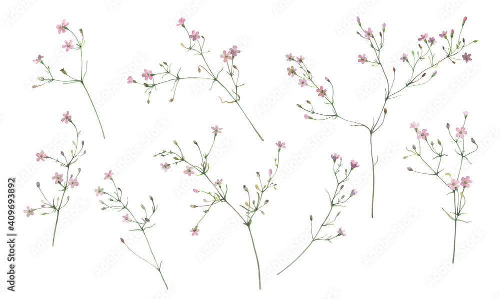 Watercolor set of small pink wildflowers on a white background 