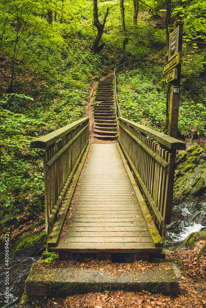Hiking trail in German forest. Scenic footpath with wooden bridge in Rothaar Mountains in Northrhine-Westphalia state