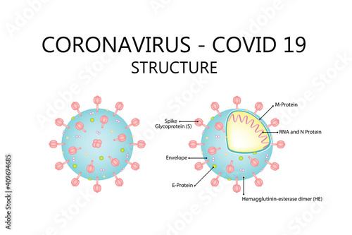 Corona virus covid19 structure. Vector illustration isolated on white background