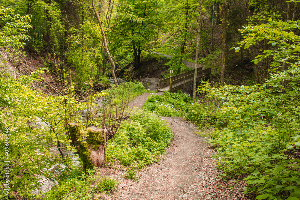 Hiking trail in German forest. Scenic footpath in Rothaar Mountains in Northrhine-Westphalia state Hiking trail in German forest. Scenic footpath in Rothaar Mountains in Northrhine-Westphalia state