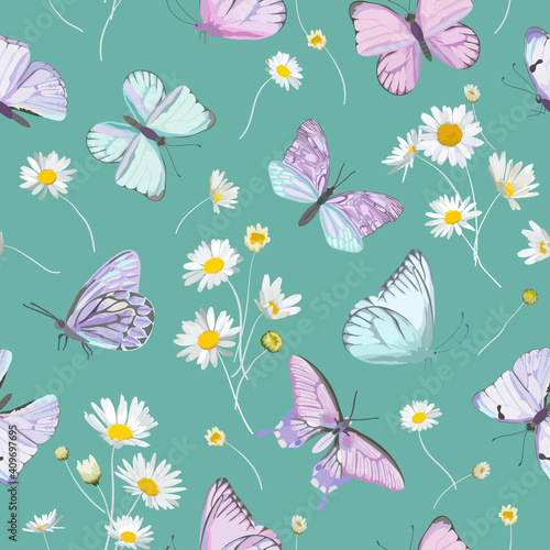 Canvas Print Daisy flowers and butterfly vector background