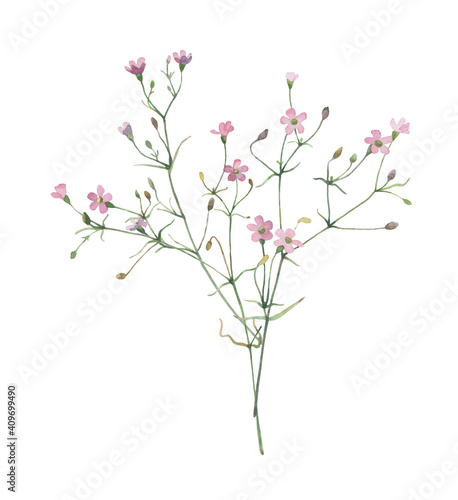 Watercolor bouquet of small pink wildflowers on a white background 