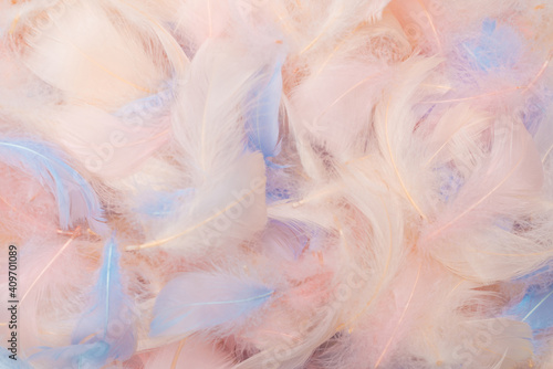 Colorful feather background, top view.